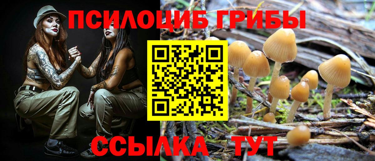 Тайшет  Псилоцибиновые грибы мухоморы  Вход с VPN 